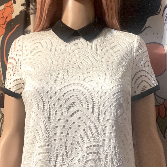 Forever 21 Colorblock Collar Lace Dress - Picture 2 of 7